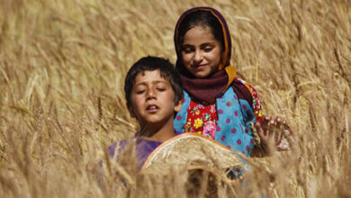 فیلم مستند «آشو»