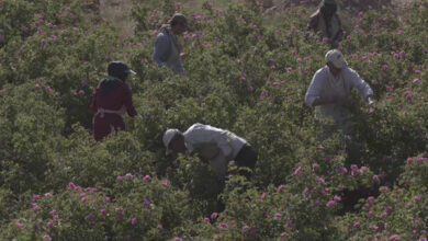 مستند بلند «ایران‌زاد»