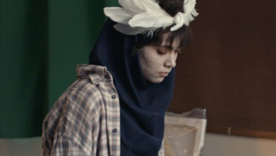 فیلم کوتاه «جیغ مرغ دریایی»