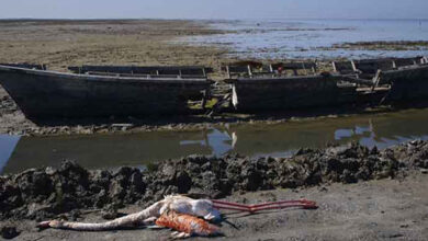 مستند «پرواز بی بازگشت»