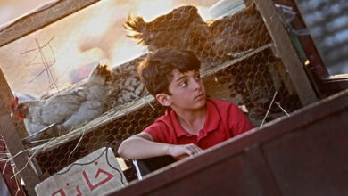 فیلم کوتاه «شبی سیصد»