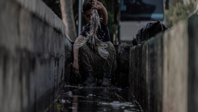 فیلم کوتاه «کشتار روز تهران»