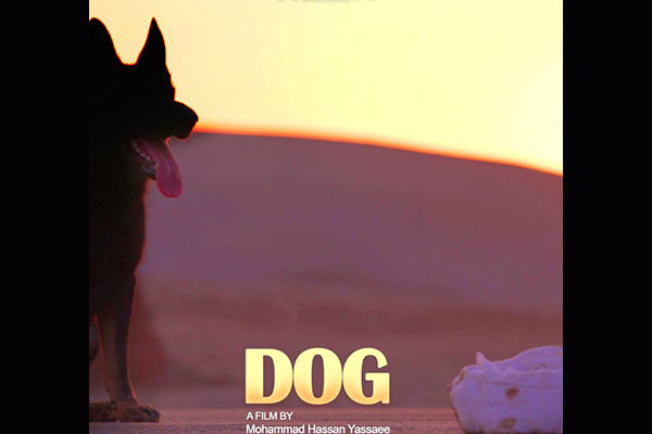 فیلم کوتاه سگ