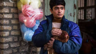 فیلم کوتاه «کپسول»