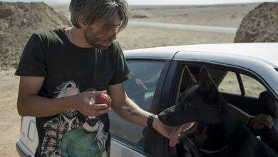 فیلم کوتاه «سگ»