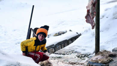فیلم کوتاه «وادیار»